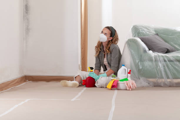 Reliable Mold Remediation contractor in Jacksonville, TX by WQB Mold Removal